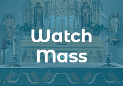 Watch Mass Live